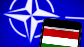 Hungary does not need NATO reinforcements amid Ukraine standoff – minister