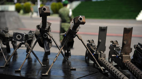 Weapons confiscated or turned in to Mexican authorities © AFP / Bernardo Montoya