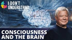 IDU: Consciousness and the brain