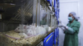 Paralyzed mice move in world-first experiment