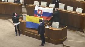 WATCH: Parliamentarians fight over Ukrainian flag