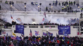 Share of Americans who blame Trump for Capitol riot revealed