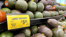 US halts avocado imports over drug cartel threats – reports