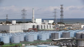 Nuclear watchdog will get Fukushima water checked