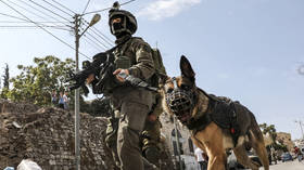 WATCH Israeli soldiers set dog on unarmed Palestinian