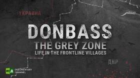 Donbass: The Grey Zone
