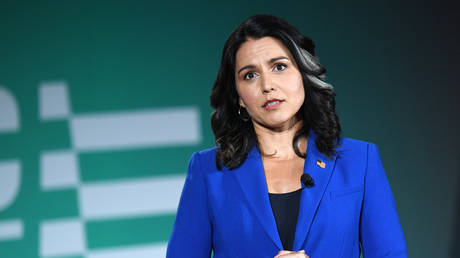 Tulsi Gabbard © Ethan Miller / Getty Images