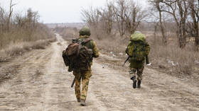 Russia declares temporary ceasefire in Ukraine