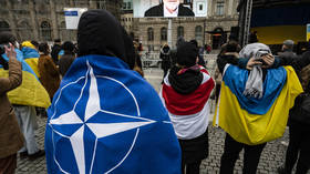Zelensky ‘less passionate’ about Ukraine joining NATO