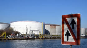 Banning Russian oil would grind Germany to a halt – Berlin