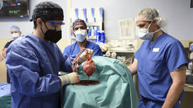 接受世界首例猪心脏移植手术的人去世