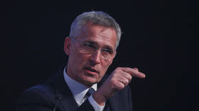 Ukraine’s NATO membership was never ‘imminent,’ Stoltenberg claims