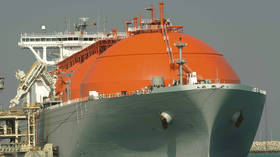 Germany looks for alternatives to Russian gas