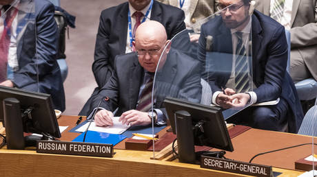 Russian Ambassador Vassily Nebenzia speaks during Security Council meeting on resolution for humanitarian aid to Ukraine at UN Headquarters. © Lev Radin / Pacific Press / LightRocket via Getty Images