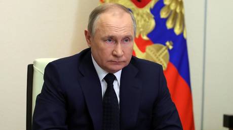 Russian President Vladimir Putin. © Sputnik/Mikhail Klimentyev