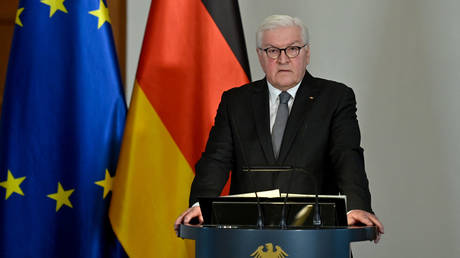 German President Frank-Walter Steinmeier. © AFP / John MACDOUGALL