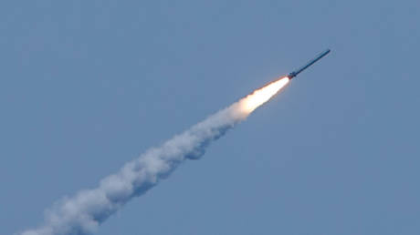 FILE PHOTO. Kalibr cruise missile. © Sputnik/Vadim Savitskii