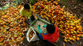 Chocolate company accused of profiting from child labor