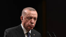 La crise ukrainienne montre la valeur de la Turquie à l'Occident – ​​Erdogan