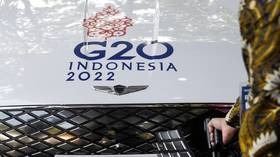 США и Великобритания намерены бойкотировать часть мероприятия G20