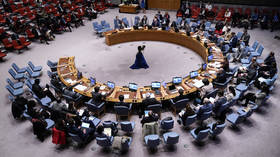 UN mulls change to Security Council veto process