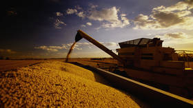 China addresses food security concerns