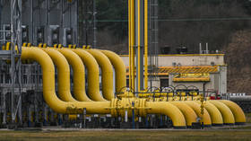 Russia halts gas supplies to Poland, media claims