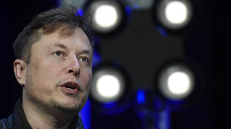 Elon Musk speaks at a conference in Washington, DC, March 9, 2020 © AP / Susan Walsh