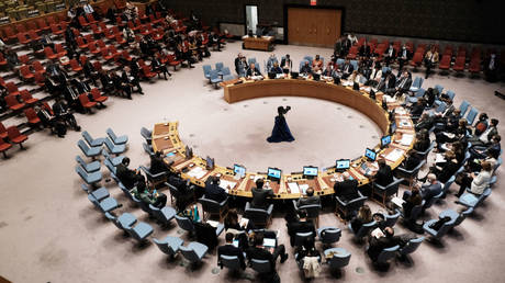 Members of the UN Security Council are shown meeting earlier this month in New York to discuss the Ukraine crisis.
