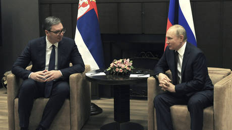 FILE PHOTO: Russian President Vladimir Putin meets with his Serbian counterpart Aleksandar Vucic