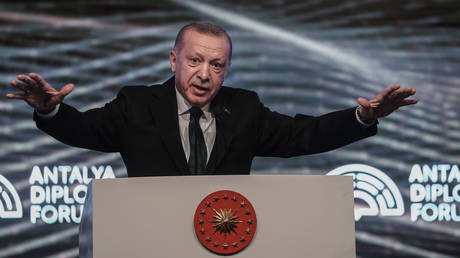 Turkey opposes Finland and Sweden's NATO bids– Erdogan