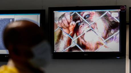 A health officer stands in front of a monkeypox virus information at Soekarno-Hatta International Airport in Tangerang near Jakarta, Indonesia. © Anton Raharja / Anadolu Agency / Getty Images
