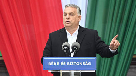 Hungarian Prime Minister Viktor Orban. © AFP / Attila KISBENEDEK