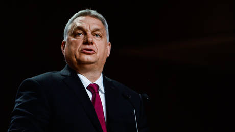 Prime Minister of Hungary Viktor Orban © Omar Marques / Getty Images
