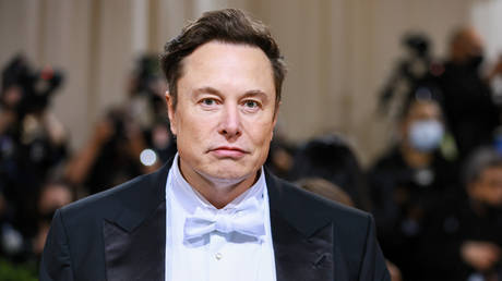 Elon Musk. © Getty Images / Theo Wargo