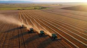 La Russie s'apprête à récolter la plus grosse récolte de blé de son histoire