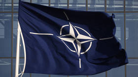 Finns & Swedes won’t benefit from NATO – think-tank head
