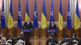 US envoy weighs in on Ukraine's NATO prospects