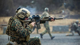 Baltic states demand massive NATO buildup – media