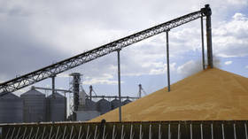随着乌克兰收成减少，小麦价格将飙升——官方