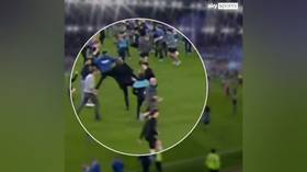 Premier League legend fights fan in more shame at pitch invasion (VIDEO)