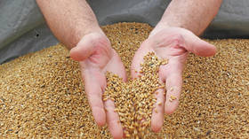 专家警告说，世界小麦供应仅剩 10 周