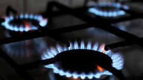Serbia secures new gas contract with Russia