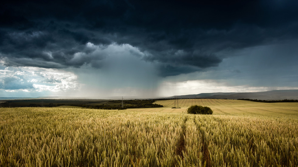 UN warns of global food ‘catastrophe’