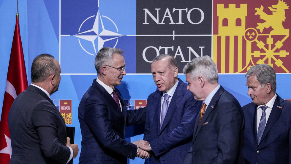 Turkey reaches NATO take care of Finland and Sweden — RT World Information