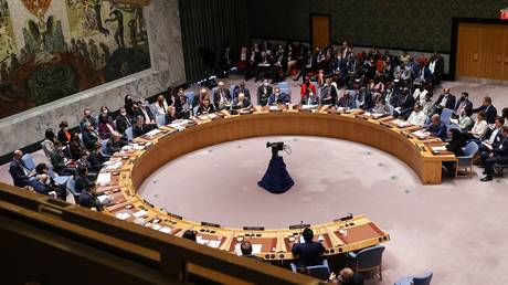 FILE PHOTO. A general view of Security Council meeting. ©Tayfun Coskun / Anadolu Agency via Getty Images