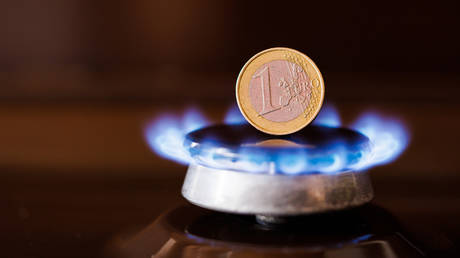Germany issues gas price warning