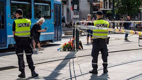 Denmark police launch large-scale manhunt after deadly mall taking pictures