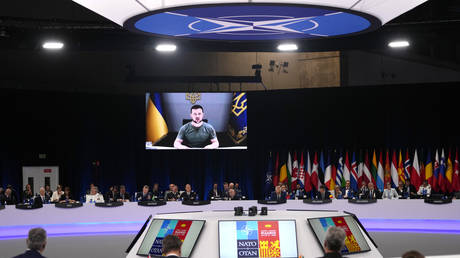 Ukrainian President Volodymyr Zelensky addresses a panel discussion via video link during a NATO summit in Madrid, Spain, June 29, 2022.
