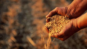 Russia denies it's blocking Ukrainian grain exports